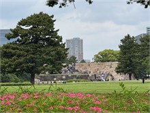 018-East-Gardens