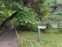 006-Meiji-Jinga