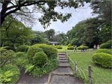 011-Meiji-Jinga