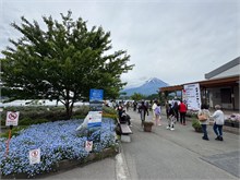 007-Mt-Fuji