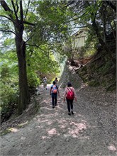 003-Daishoin-Shrine