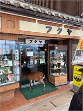 014-Miyajima-Island