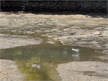 028-Miyajima-Island