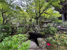076-Miyajima-Island