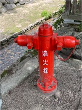 078-Miyajima-Island