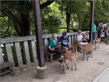 079-Miyajima-Island