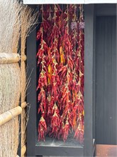 010-Kyoto