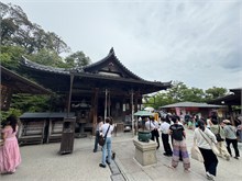 017-Kinkaku-Ji
