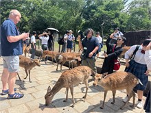 002-Nara