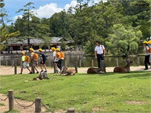 009-Nara