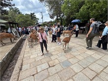 047-Nara