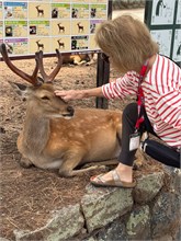 052-Nara