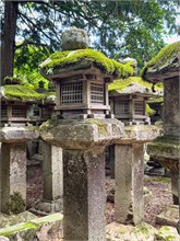 065-Nara