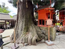 074-Nara