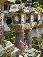 091-Nara