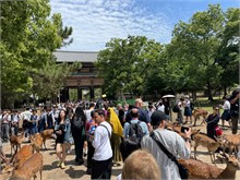 001-Todai-ji_Temple