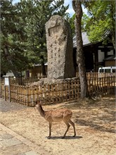 042-Todai-ji_Temple