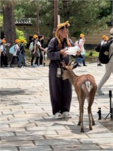 044-Todai-ji_Temple