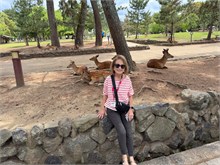 050-Todai-ji_Temple