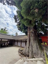 020-Kasuga-Grand-Shrine