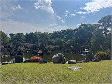 019-Nijo-Castle