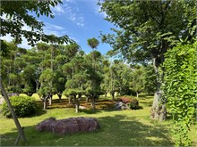029-Nijo-Castle
