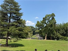 IMG_7903