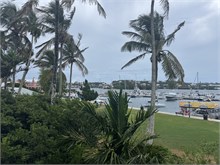 IMG_1054