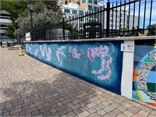 IMG_8011