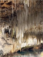 IMG_8070