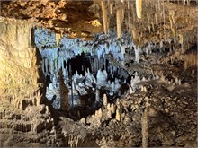 IMG_8073