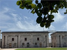 IMG_1151