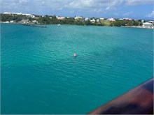IMG_1164