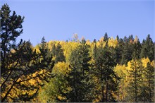 006-Colors-Colorado