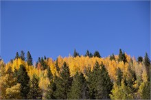 008-Colors-Colorado