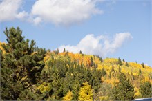 009-Colors-Colorado
