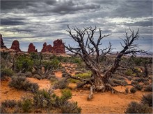022-Arches2025